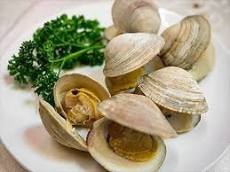 Clams: